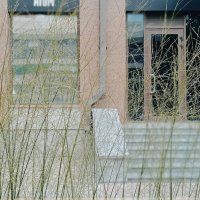 про Екатеринбург :: Елена Шаламова