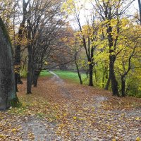 Ашманн парк, Калининград :: Рита Симонова