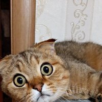 Взгляд, после крепкого поцелую. :: Ната57 Наталья Мамедова