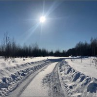 Выглянуло солнышко ... :: Валентина Надсон