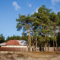 Морозно :: Галина Ложечникова