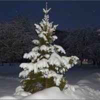 В белой шубке ... :: Валентина Надсон