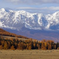 *** :: владимир 