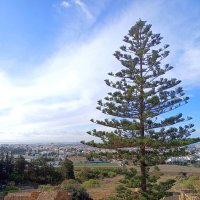 Карфаген, Тунис :: Елена 