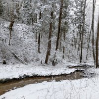 снег ручей деревья :: Владимир 