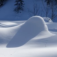 Формы :: Павел Трунцев