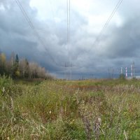 /// :: Виктор Никитенко