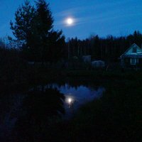 ЛУНЯВОСТЬ :: Виктор Никитенко