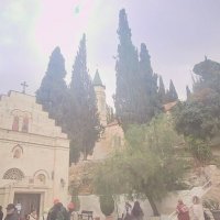 13  ОПЕН (773) :: OPEN WAYS ALL