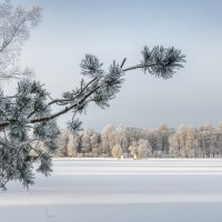 Про Питер :: Владимир Колесников