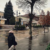 г Ногинск :: Любовь 