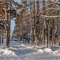 Декабрь... :: Aquarius - Сергей