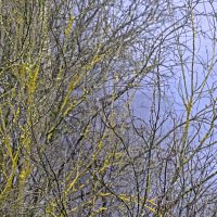 Теплый декабрь :: Валерий Иванович