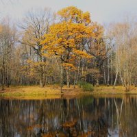 ОСЕННЕЕ ОТРАЖЕНИЕ В ПРУДУ :: Валентина 