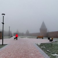 Пасмурный, декабрьский день. :: Милешкин Владимир Алексеевич 