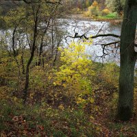 Ашманн парк, Калининград :: Рита Симонова