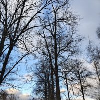 Декабрь :: Андрей 