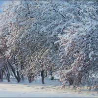Зимняя красота ... :: Валентина Надсон Зимняя красота ... :: Валентина Надсон