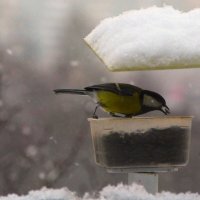 Солнце ушло за дом... :: Юрий Куликов