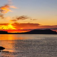 Рассвет. :: Сергей Воротников