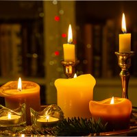 Предновогодний этюд. :: Lucy Schneider 