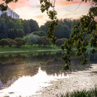 Вечерние небо. :: Lucy Schneider 