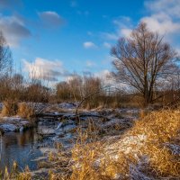 Подмосковный Декабрь 11 :: Андрей Дворников