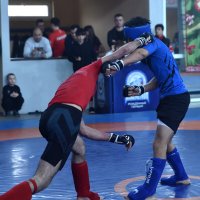 Точный удар! :: Александр Гриднев