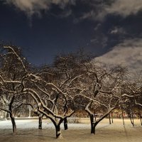 Зима :: Андрей 