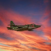 Грачи прилетели :: Vladimir 