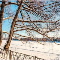 Морозный денёк... :: Aquarius - Сергей