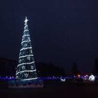 Наша ёлочка. :: Михаил "Skipper"