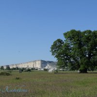 Природа Крыма :: Amazing Cosmea