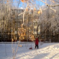 Зимним днем :: Елена Семигина