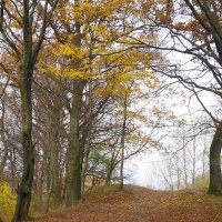 Ашманн парк, Калининград :: Рита Симонова