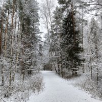 в парке :: Владимир 
