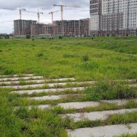 р. Академический. Екатеринбург :: Елена Шаламова