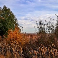 Ветер осенний шумит :: Hope 