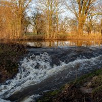 Речка... :: Николай Гирш