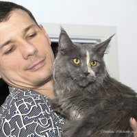 Фото с выставки :: Светлана Ищенко