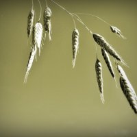 - :: Aндрей Антонов