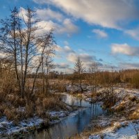 Подмосковный Декабрь 12 :: Андрей Дворников