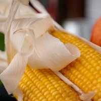 Про кукурузу и тыкву... :: Николай Гирш