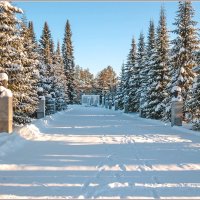 Зимним днём ... :: Aquarius - Сергей