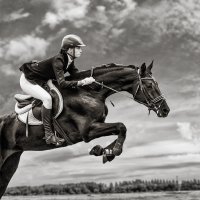 Конкур :: SanSan 