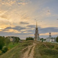 Кончен день,пора в гнездо. :: Николай 