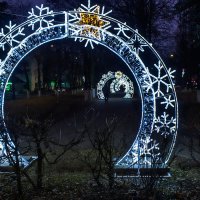 По аллее в Новый год. :: Михаил "Skipper"