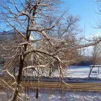 А у нас с утра за бортом минус 27, а у вас? :-) :: Андрей Заломленков А у нас с утра за бортом минус 27, а у вас? :-) :: Андрей Заломленков