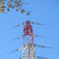 за городом :: Елена Шаламова