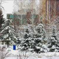 В Первомайском сквере :: Галина Нестратова